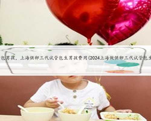 上海代生孩子包男孩，上海供卵三代试管包生男孩费用(2024上海做供卵三代试管